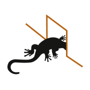 01-jekko-features-compattezza