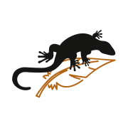 02-jekko-features-leggerezza