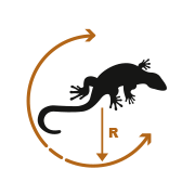 03-jekko-features-adattabilita